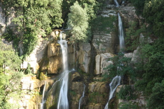IMG 6694